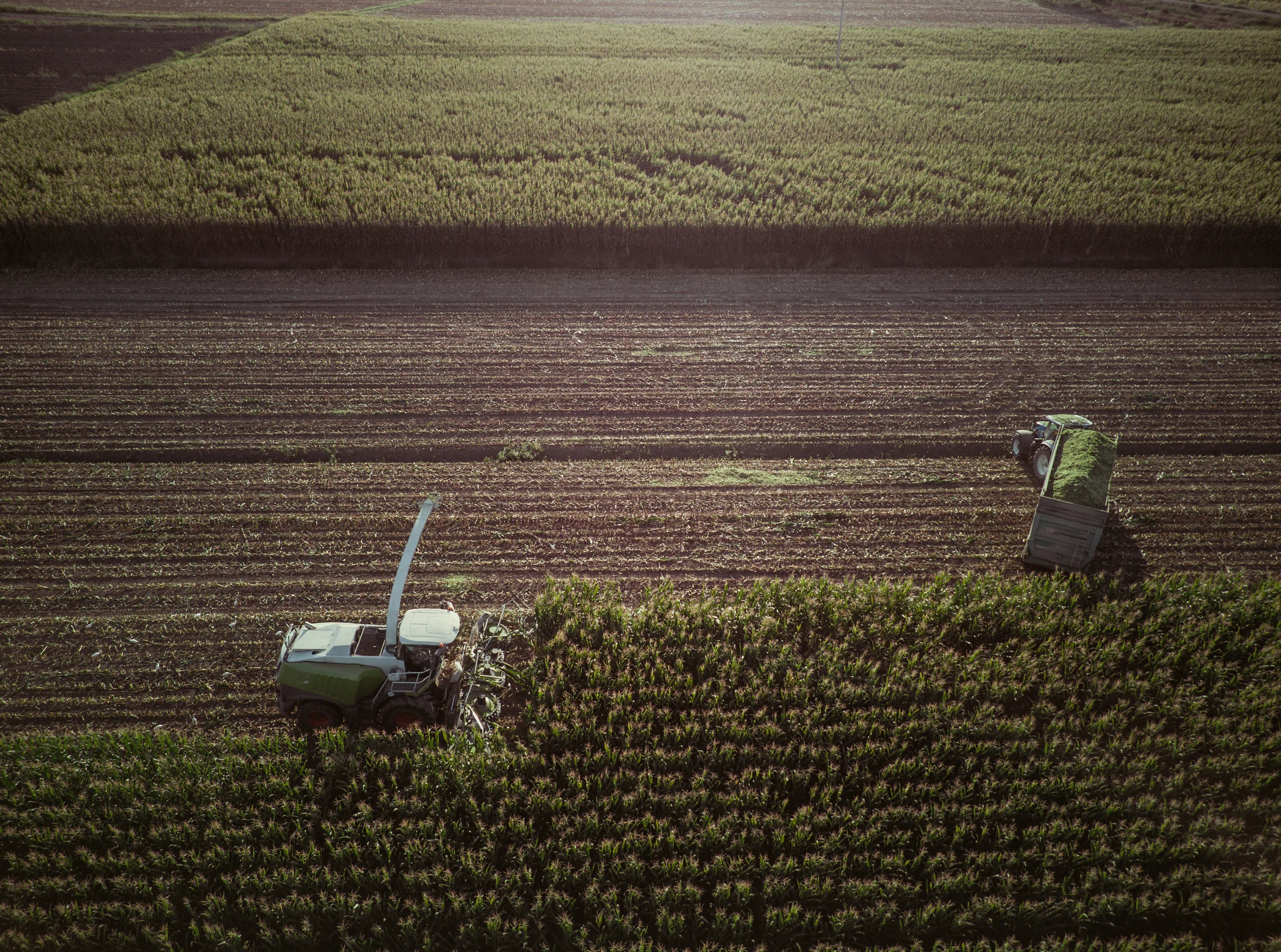 Food & Agriculture